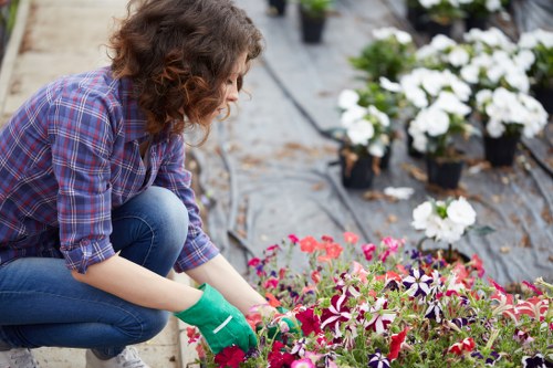 Secure online payment area for Landscapers Lambeth