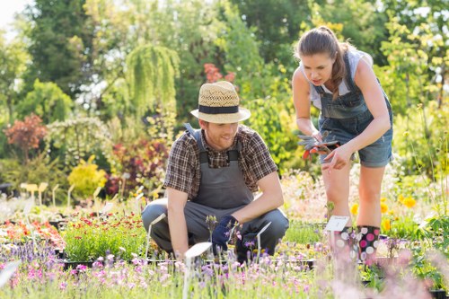 Landscapers working on a Lambeth garden transformation