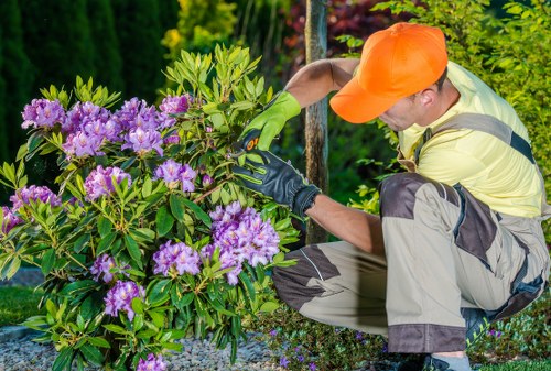 Charitable reuse and recycling of garden materials in Lambeth