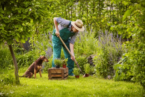 Customer complaint review for landscaping service