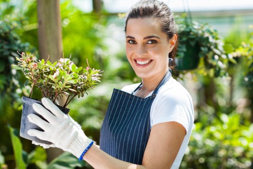 Accessible website layout for local landscaping services