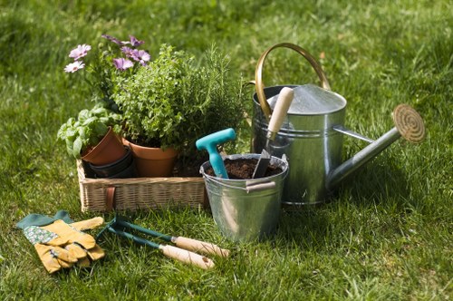 Professional planting services in Lambeth for a residential garden