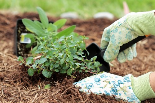 Detailed landscaping features improving a Lambeth garden