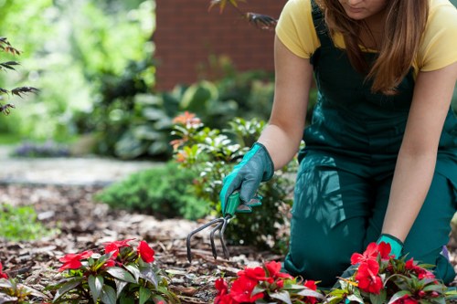 Crew managing garden waste and site hazards