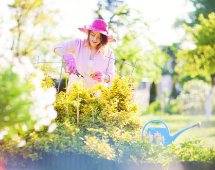 Insured landscaper inspecting site safety before work