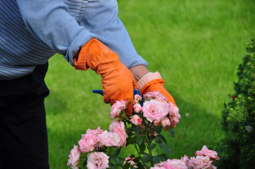 Seasonal border planting in a Lambeth outdoor space