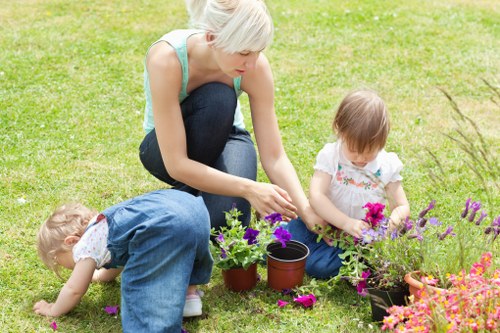 A well-kept lawn in Lambeth with seasonal garden care