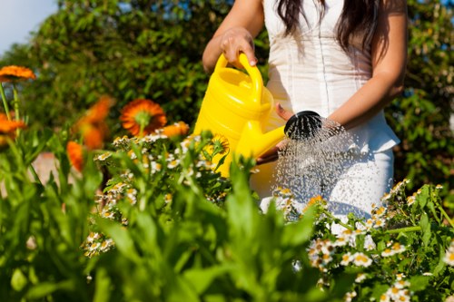Low-maintenance landscape gardening in Lambeth with evergreen shrubs and modern patio